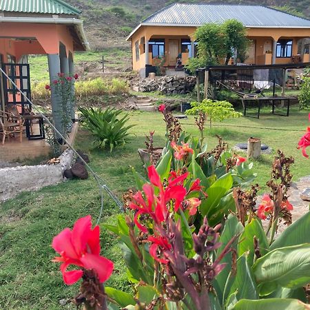 Lake Natron Maasai Guesthouse Mtowabaga Luaran gambar