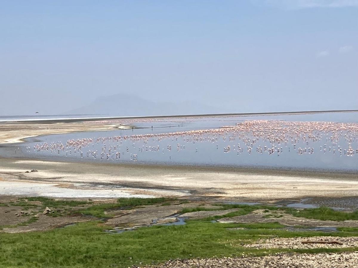 Lake Natron Maasai Guesthouse Mtowabaga Luaran gambar