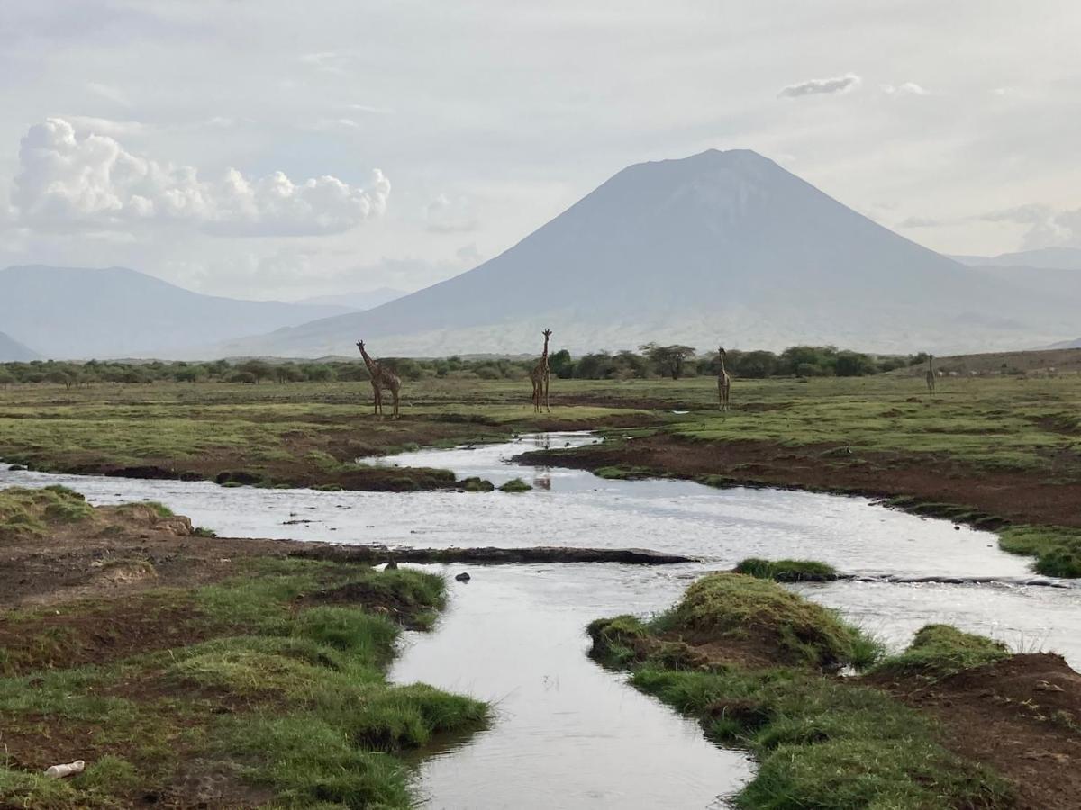Lake Natron Maasai Guesthouse Mtowabaga Luaran gambar